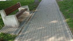 porządkowanie parku przy ulicy Bankowej